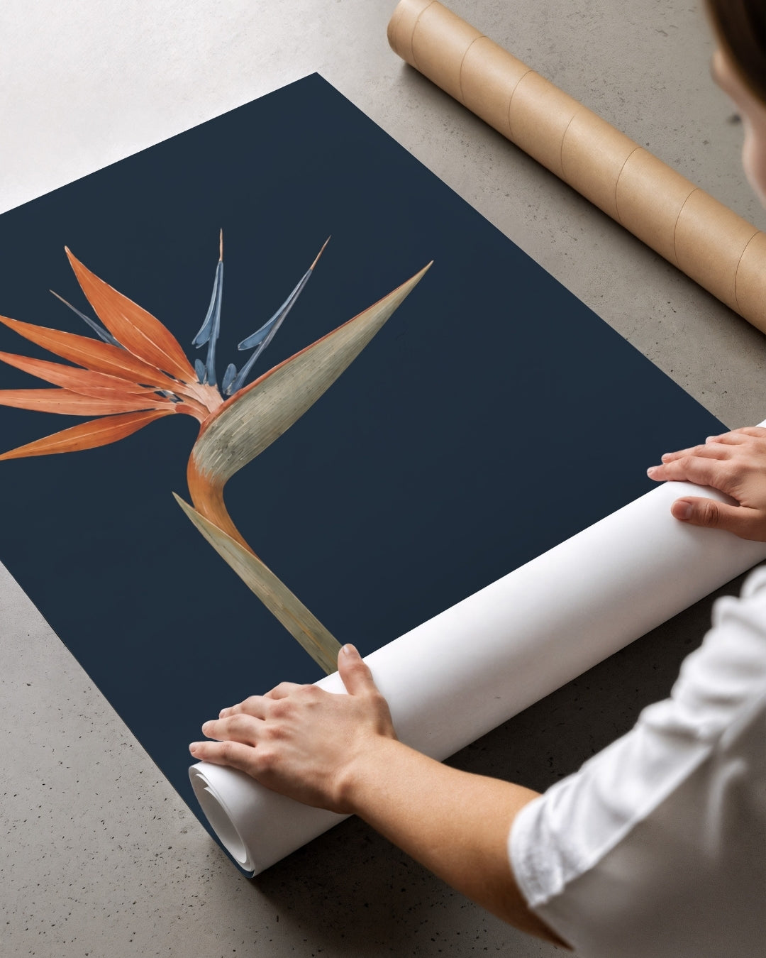 A person unrolling a large wall art print or poster featuring a stylized orange and blue bird of paradise flower on a dark navy background, with cardboard shipping rolls nearby on a concrete floor.