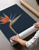A person unrolling a large wall art print or poster featuring a stylized orange and blue bird of paradise flower on a dark navy background, with cardboard shipping rolls nearby on a concrete floor.