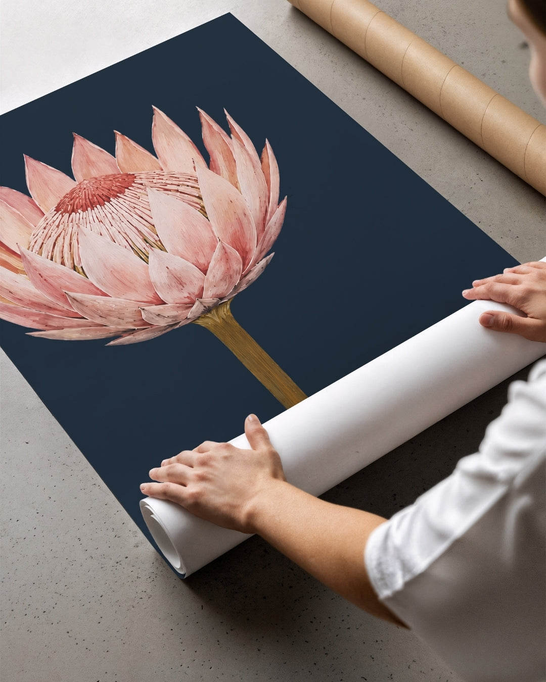 A person is unrolling a large wall art print or poster featuring a pink protea flower on a dark navy background, placed on a gray concrete floor with cardboard shipping rolls nearby.