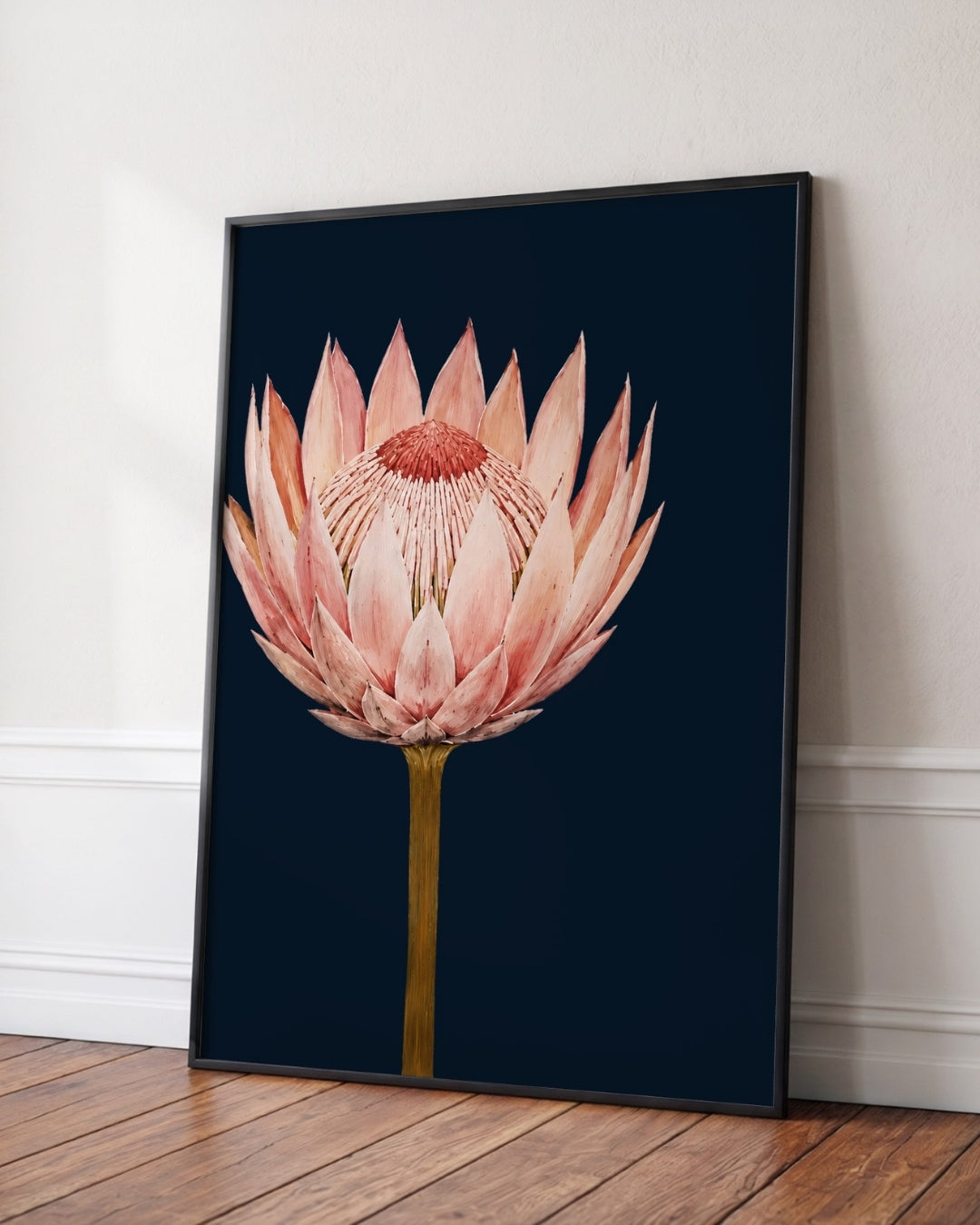 A framed botanical art print of a pink protea flower on a dark navy background, leaning against a white wall on a wooden floor.