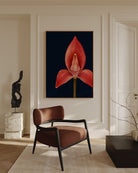 A framed wall art print featuring a large red orchid flower on a dark navy background, displayed in a styled interior room with a brown upholstered chair, cream walls, and decorative objects.